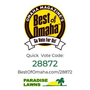 Best of Omaha x