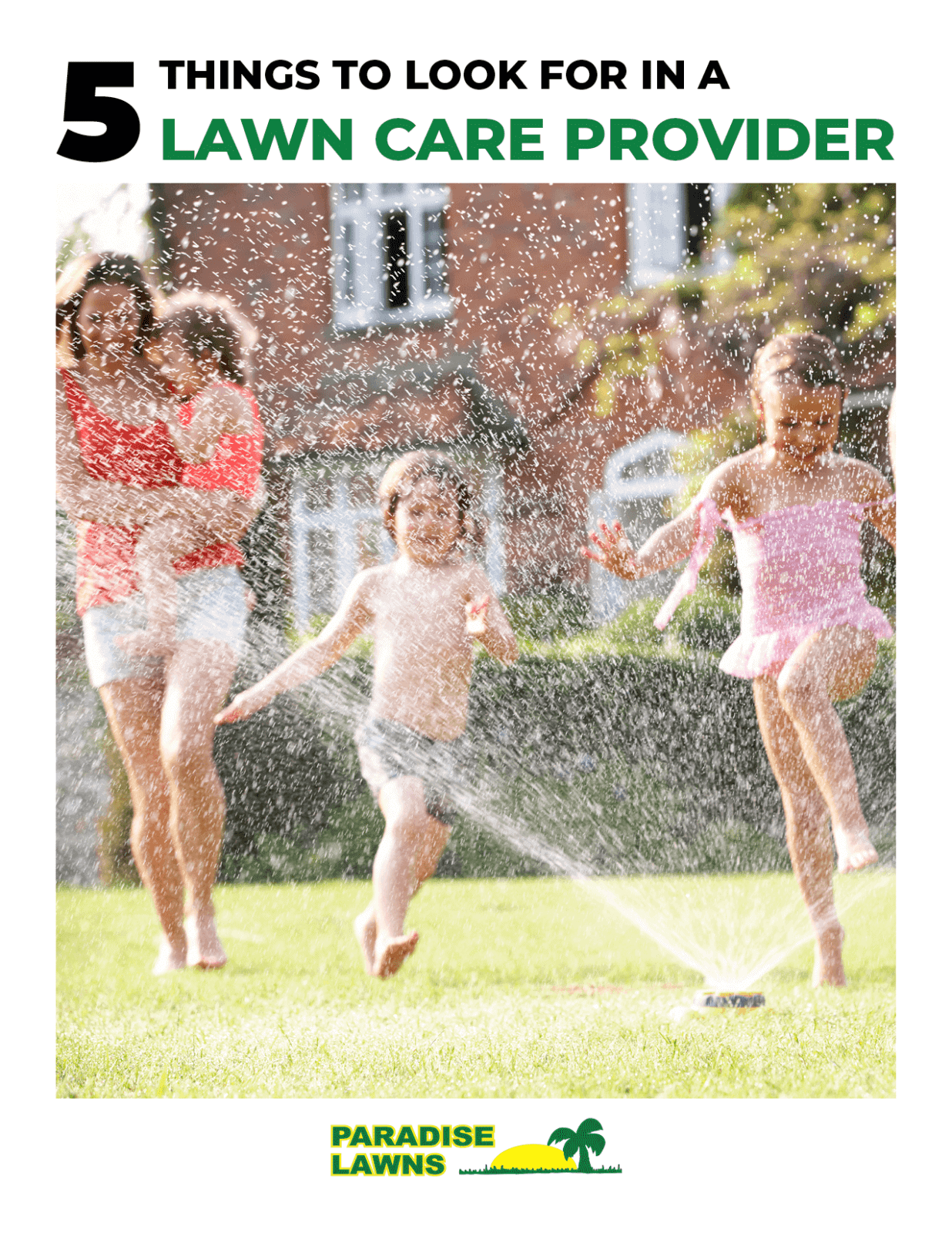 Things To Look For In Lawn Care Provider