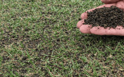 Why Compost Topdressing Improves Lawn Soil Health — Especially in Fall